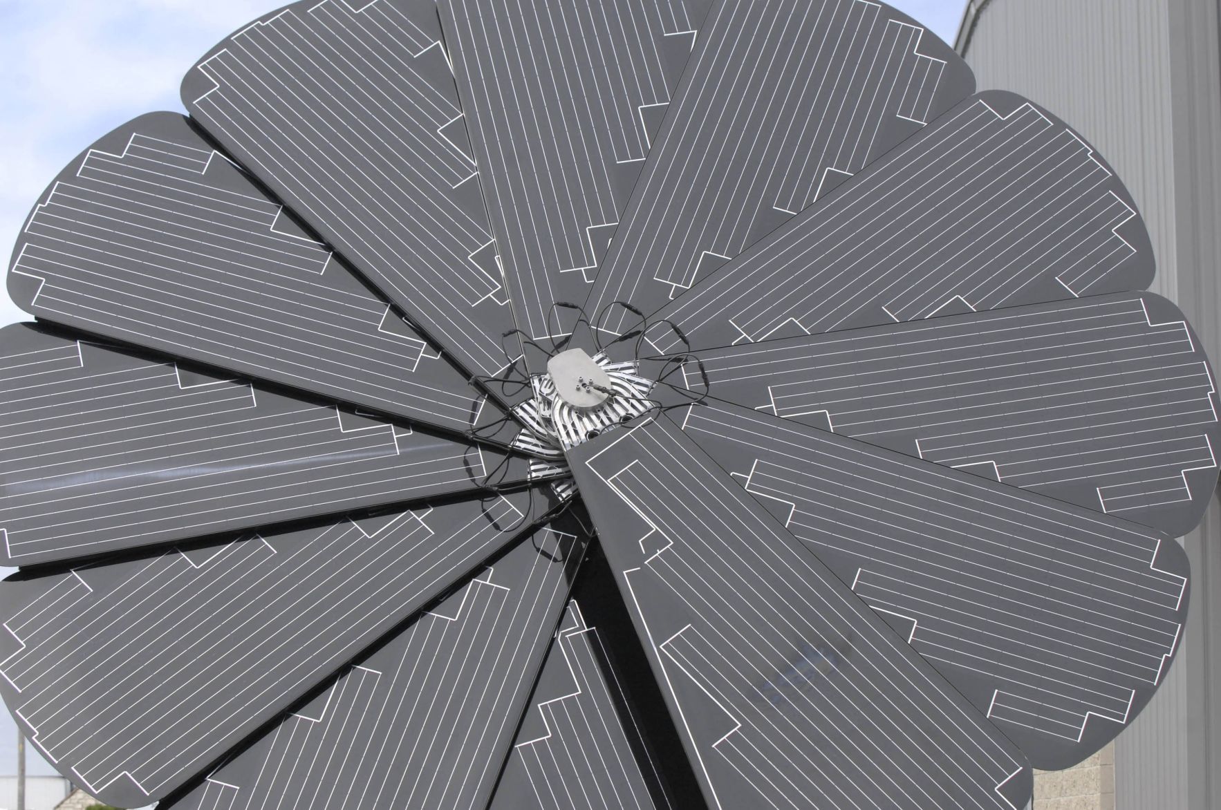 082219-blm-loc-4smartflower